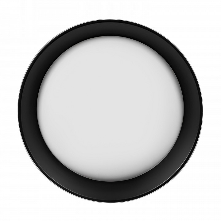Накладной светильник Loft it Coin 10202 WB