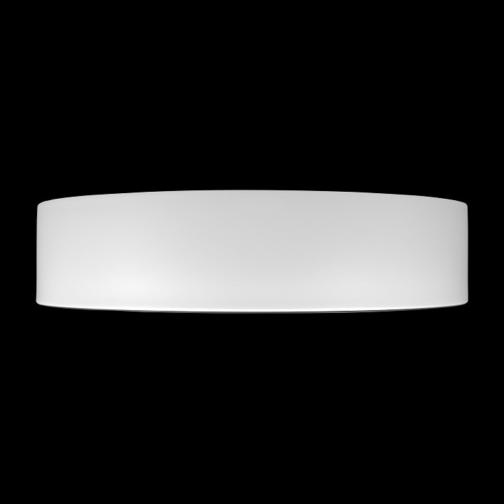 Накладной светильник Loft it Coin 10202 WB